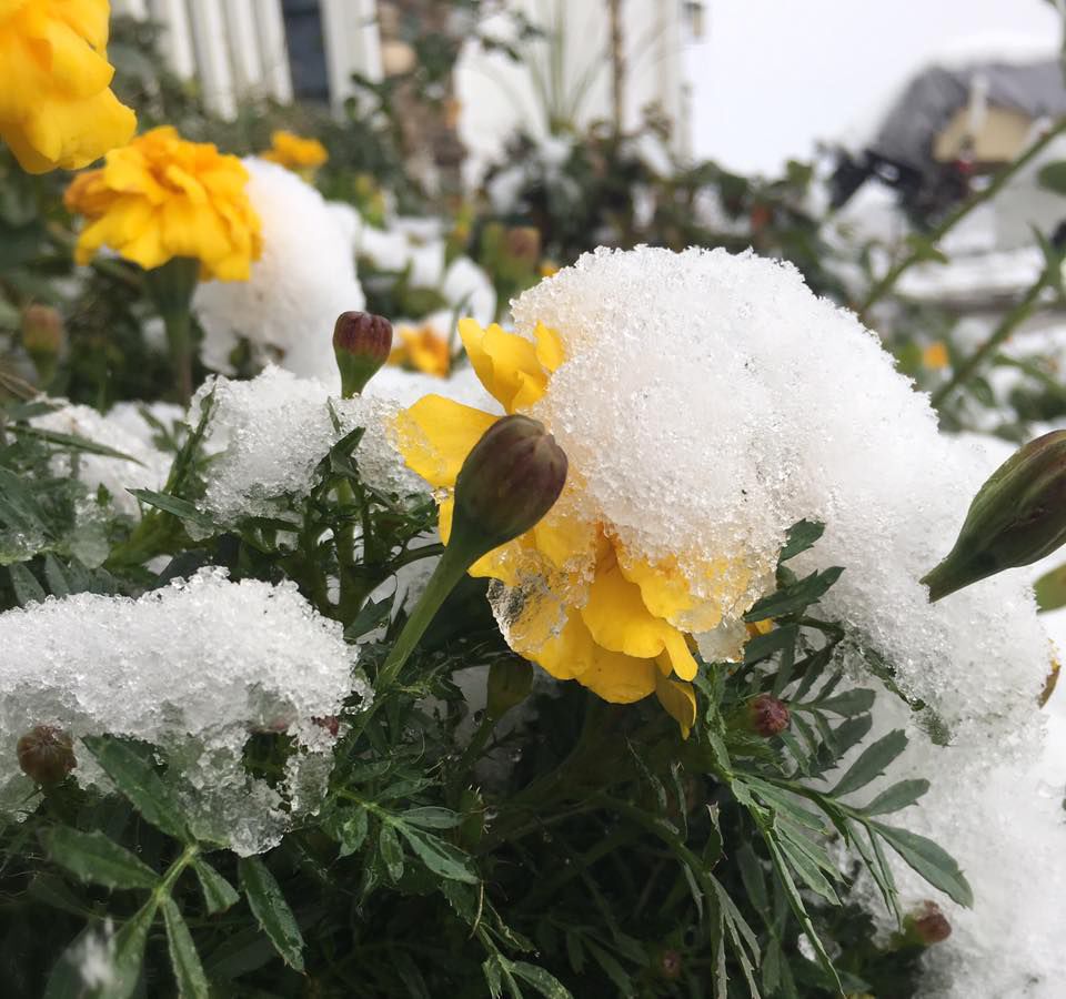 Snow, 10/14